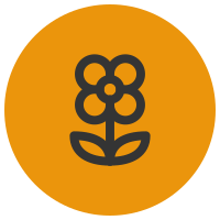 Chakra Yoga